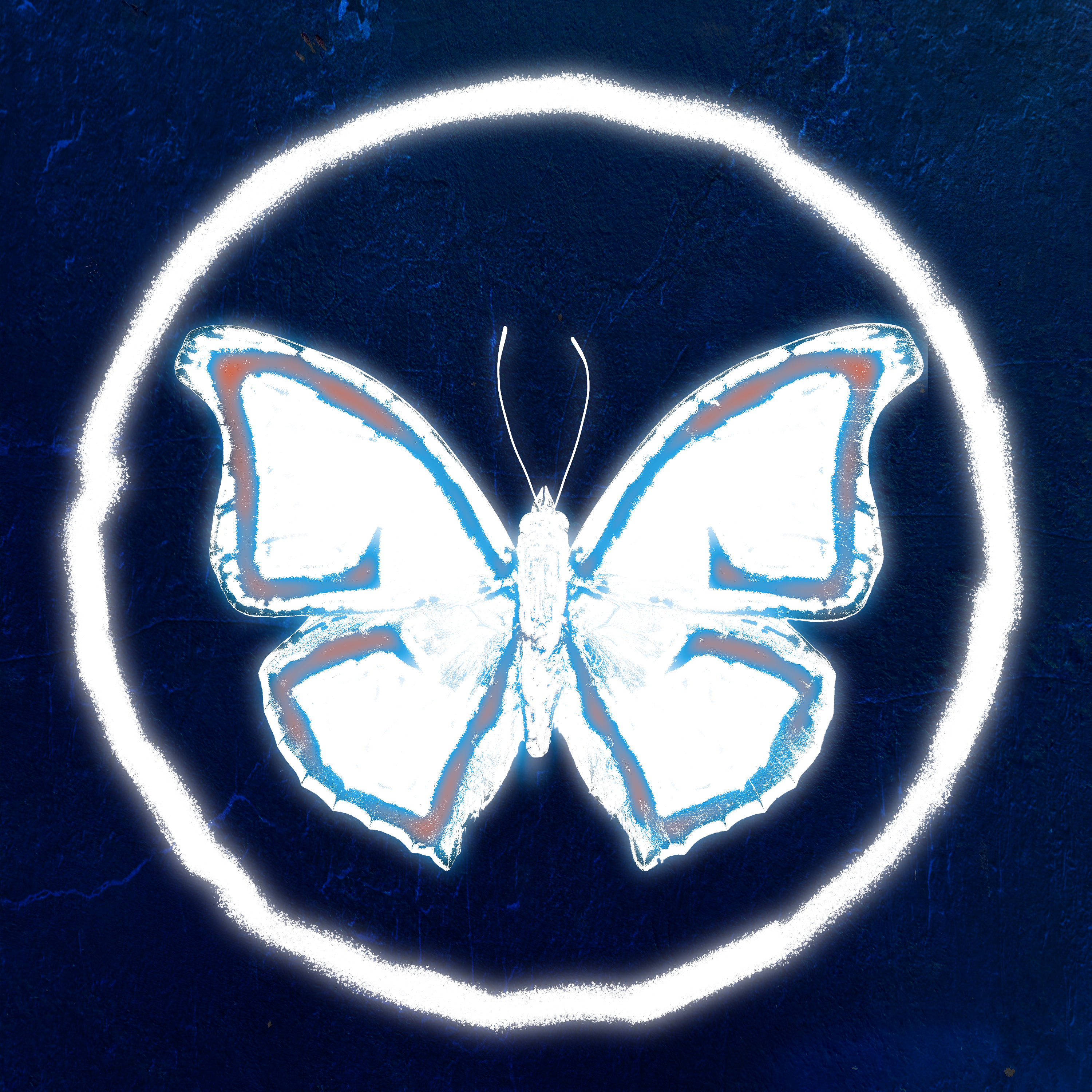 Mariposa